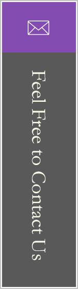 Feel Free to Contact Us